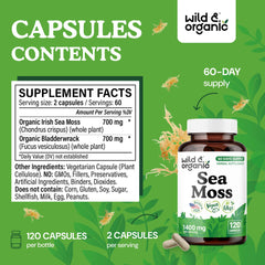 Wild & Organic Sea Moss Capsules label closeup highlighting vegan, non-GMO formula