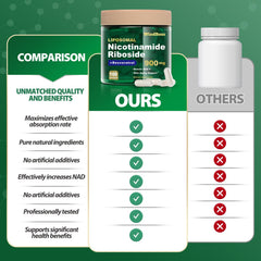 Windboss liposomal technology illustration highlighting enhanced absorption at cellular level.