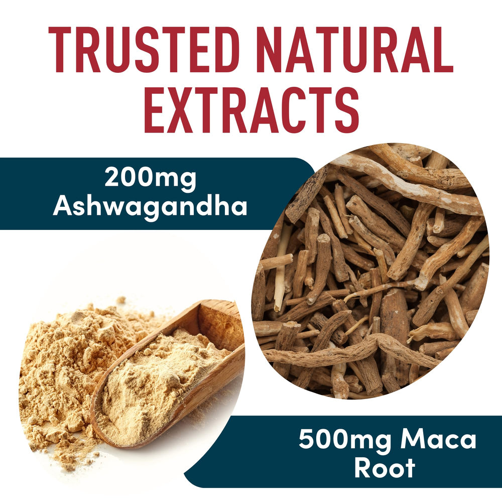 WINDSOR BOTANICALS Ashwagandha capsules for stress harmony and daily balance.