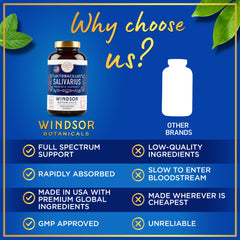 Windsor Botanicals vegetarian non-GMO gluten-free capsules for clean intake.