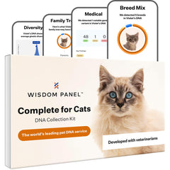 Wisdom Panel Complete cat DNA test kit packaging for at-home use