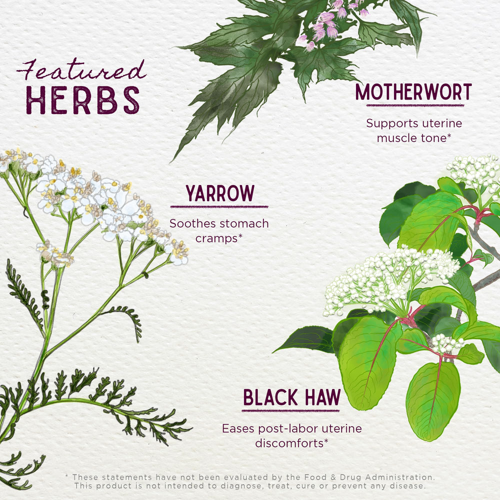 WishGarden AfterEase ingredients close-up featuring Cramp Bark and Black Haw.