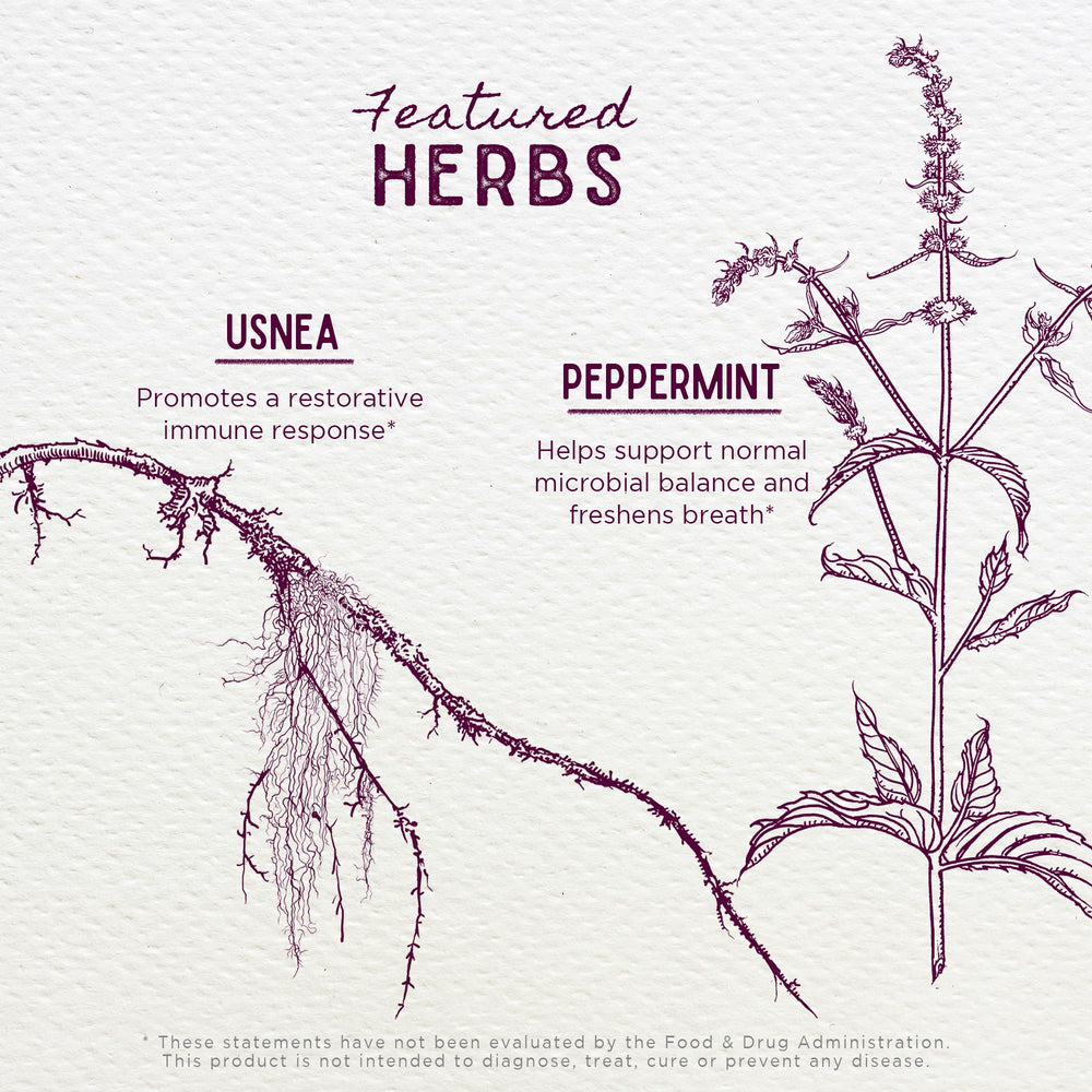 WishGarden Gum Strength herbal ingredients closeup highlights myrrh and usnea