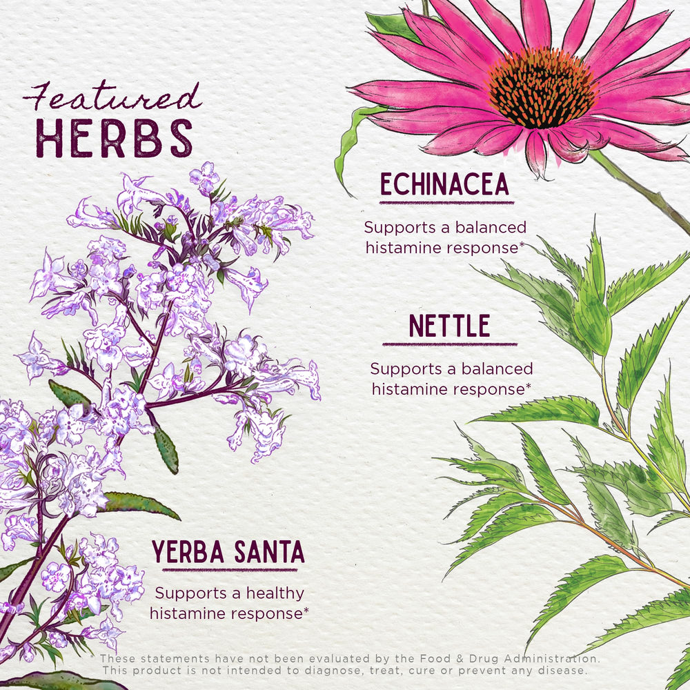 WishGarden Kick-Ass Allergy for Pregnancy packaging highlights sustainability and ethos.