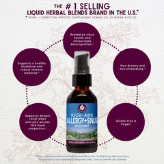 WishGarden Kick-Ass Allergy & Sinus herbal blend ingredients such as Yerba Santa and Echinacea.