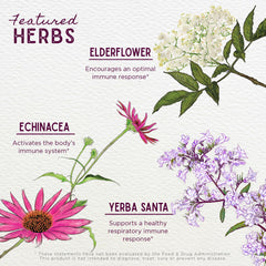 WishGarden Kick-Ass Immune Activator ingredients with Echinacea and Goldenseal