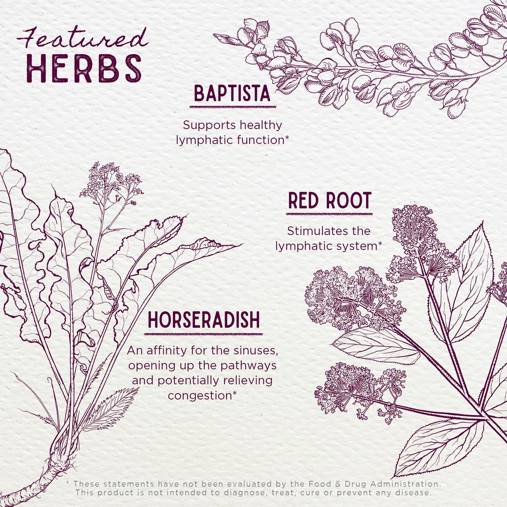WishGarden Kick-Ass Sinus ingredients bowl showcases garlic, horseradish, sage for potent herbal blend.