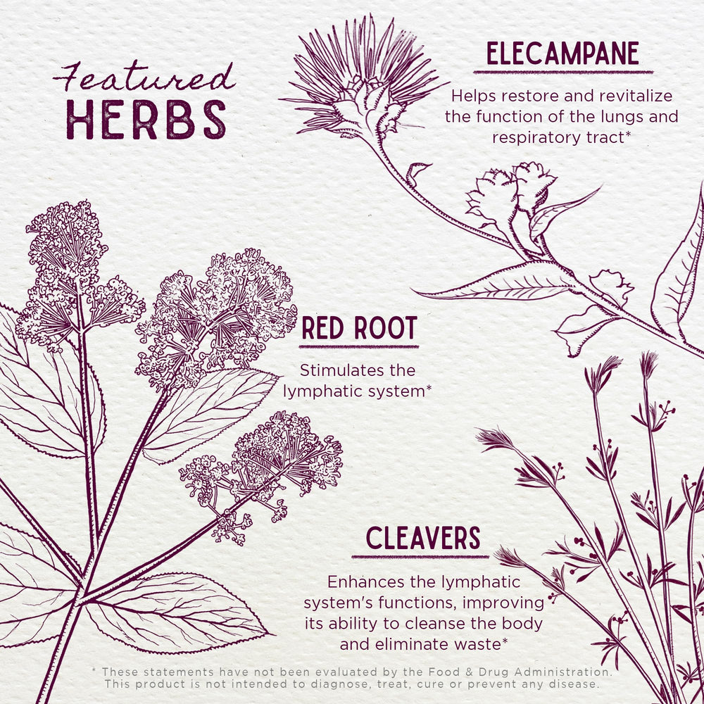 WishGarden Elecampane Root detail highlighting herbal resilience