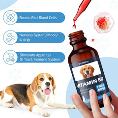 WOMRICH B12 dog nervous system liquid near label highlights cognitive function.