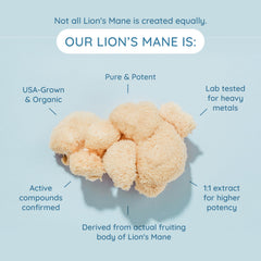 WONDERCOW WonderCream with lion's mane label highlights cognitive-support potential.