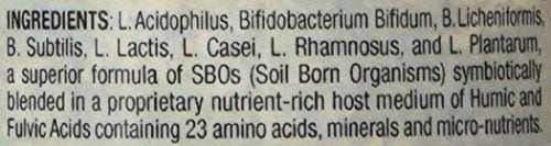 Worldwide Nutrition Body Biotics packaging box spotlights 90 capsules and non-dairy design.