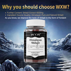 Gummies with blueberry flavor highlighting taste and vitality support