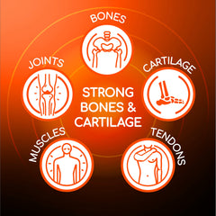 X Ray Dol six-pack box showing value and ongoing support.