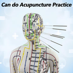 XDKHAEA English point guide included with the acupuncture doll for easy reference.