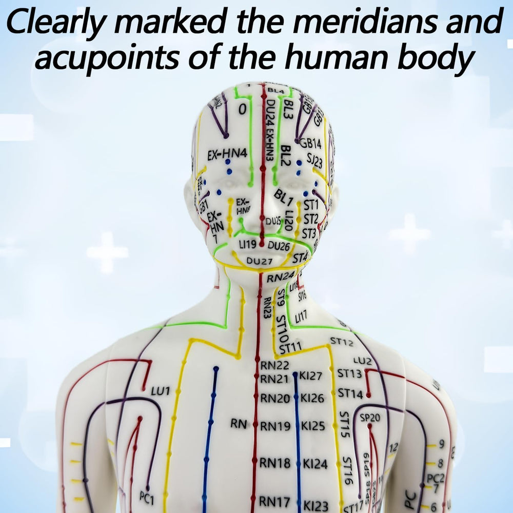 XDKHAEA extra-meridian points on the acupuncture doll for comprehensive study.
