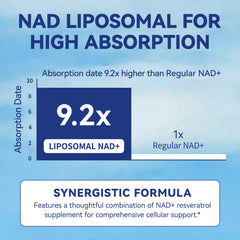 XKQ NAD+ supplement capsules closeup highlighting 60 capsules for daily routine.