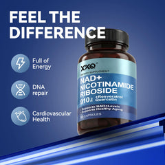 XKQ NAD+ supplement serving spoon suggesting simple daily dose.