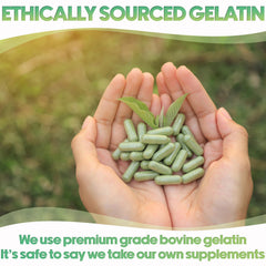 XPRS Nutra bovine gelatin capsules 100% gelatin, no additives.
