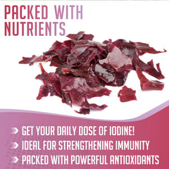 XPRS Nutra Dulse Powder sprinkled on a salad for flavor and fiber