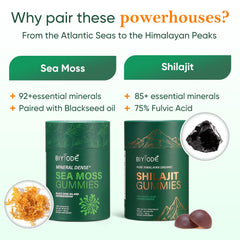 Xuore Shilajit Sea Moss Gummies ingredients close-up highlighting minerals and fulvic acid.