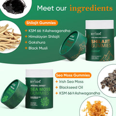 Xuore KSM-66 Ashwagandha sea moss gummies pack for active lifestyles.