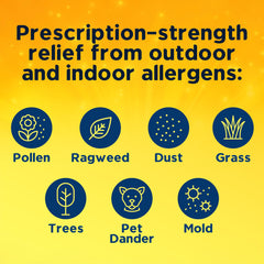 Xyzal indoor-outdoor scene demonstrates broad allergy relief possibilities.