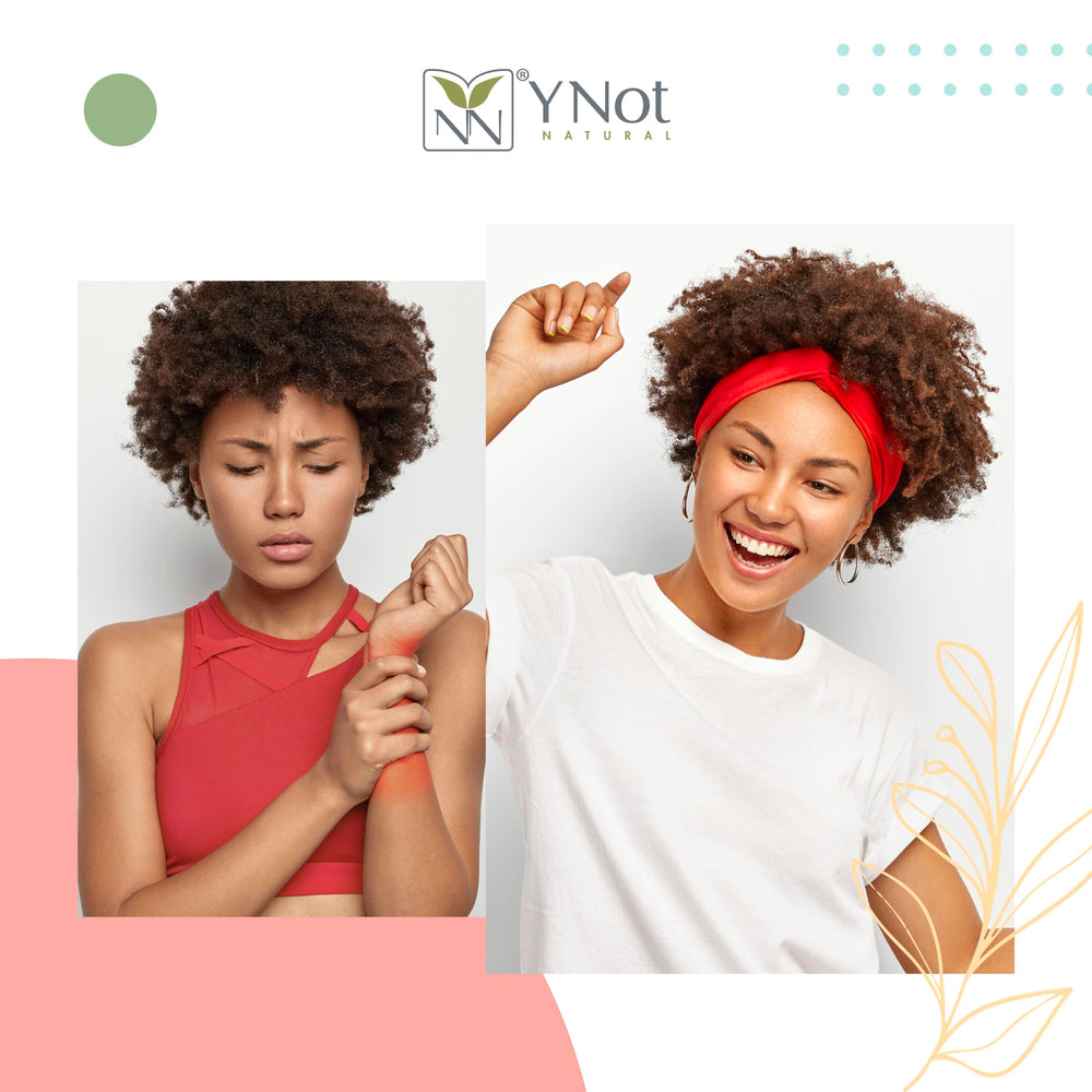 Y Not Natural Emu Oil Capsules everyday use in wellness routine