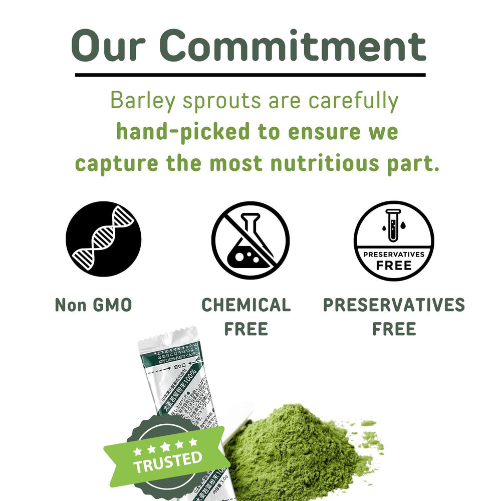 Yamakan Young Barley Grass Powder jar label highlights nutrient-rich greens for energy and focus.