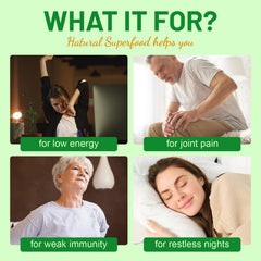 YBFQ capsules in morning routine promoting balanced nourishment