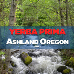 Yerba Prima psyllium husks powder vegan-certified jar visible.