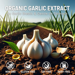 YLOTRE Elare odorless capsules suitable for fragrance-free daily intake.