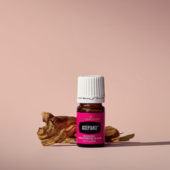 Close-up of Young Living Acceptance bottle highlighting premium aroma.