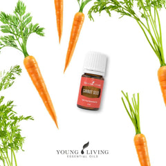 Young Living Carrot Seed Oil 5 ml packaging and branding on the box.