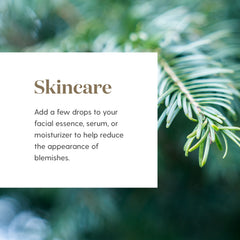 Cypress oil in skincare adds soothing, natural fragrance.