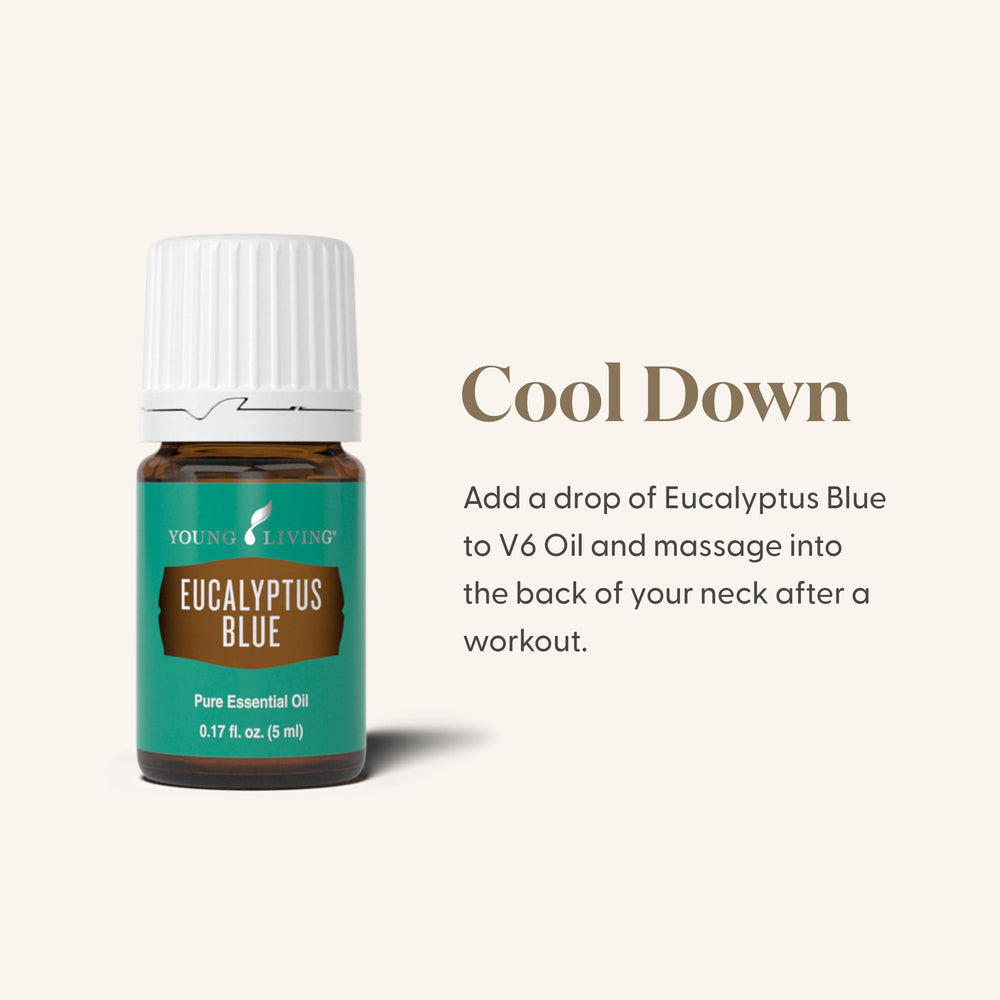 Close-up of Young Living Eucalyptus Blue cap for precise drops