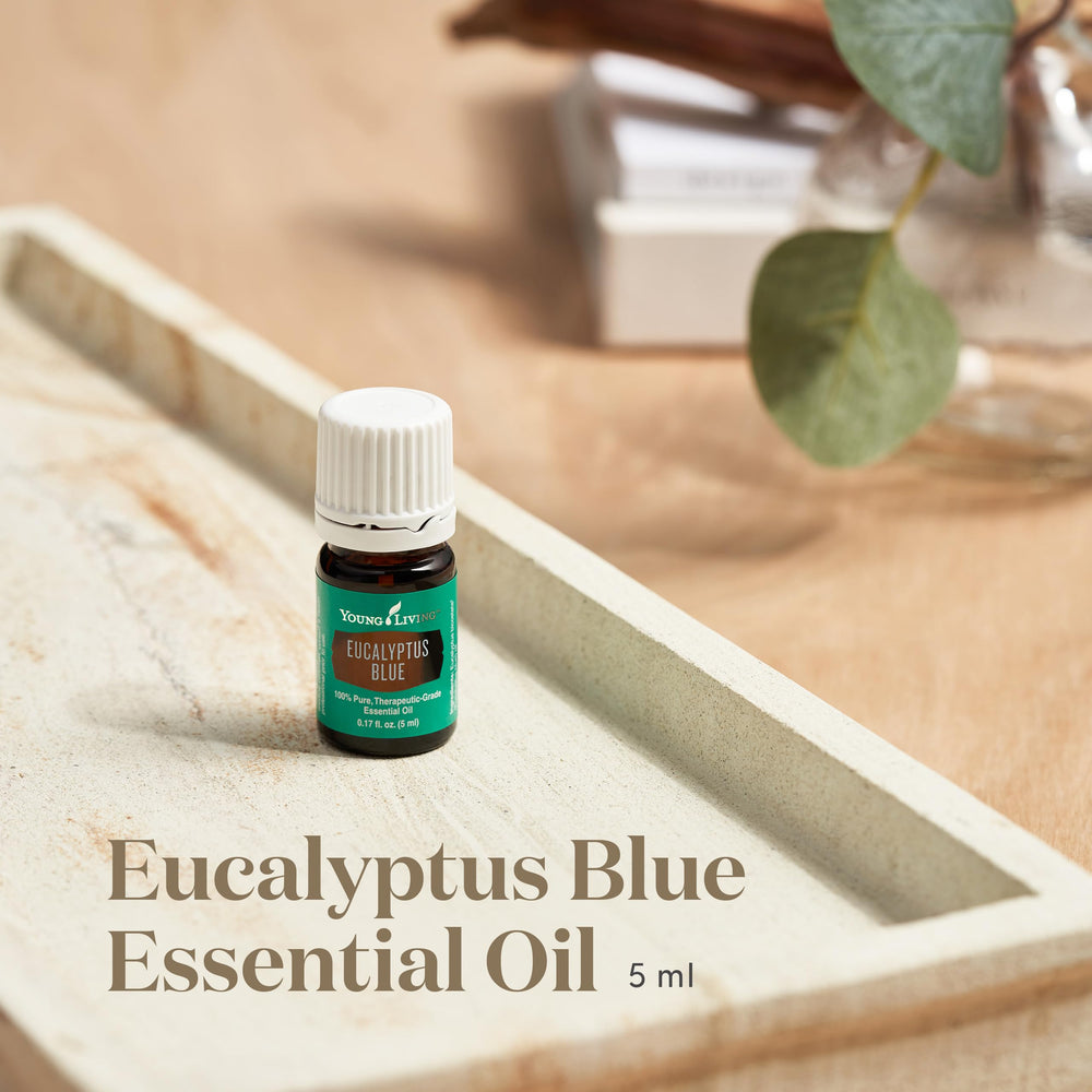 Young Living Eucalyptus Blue diffuser scene showing invigorating scent