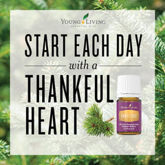 Young Living Gratitude diffuser in action spreading a calming aroma.