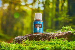 Young Living Marjoram herb-of-happiness concept promoting positive mood