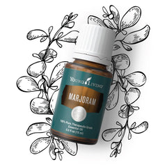 Young Living Marjoram massage application highlighting topical muscle comfort