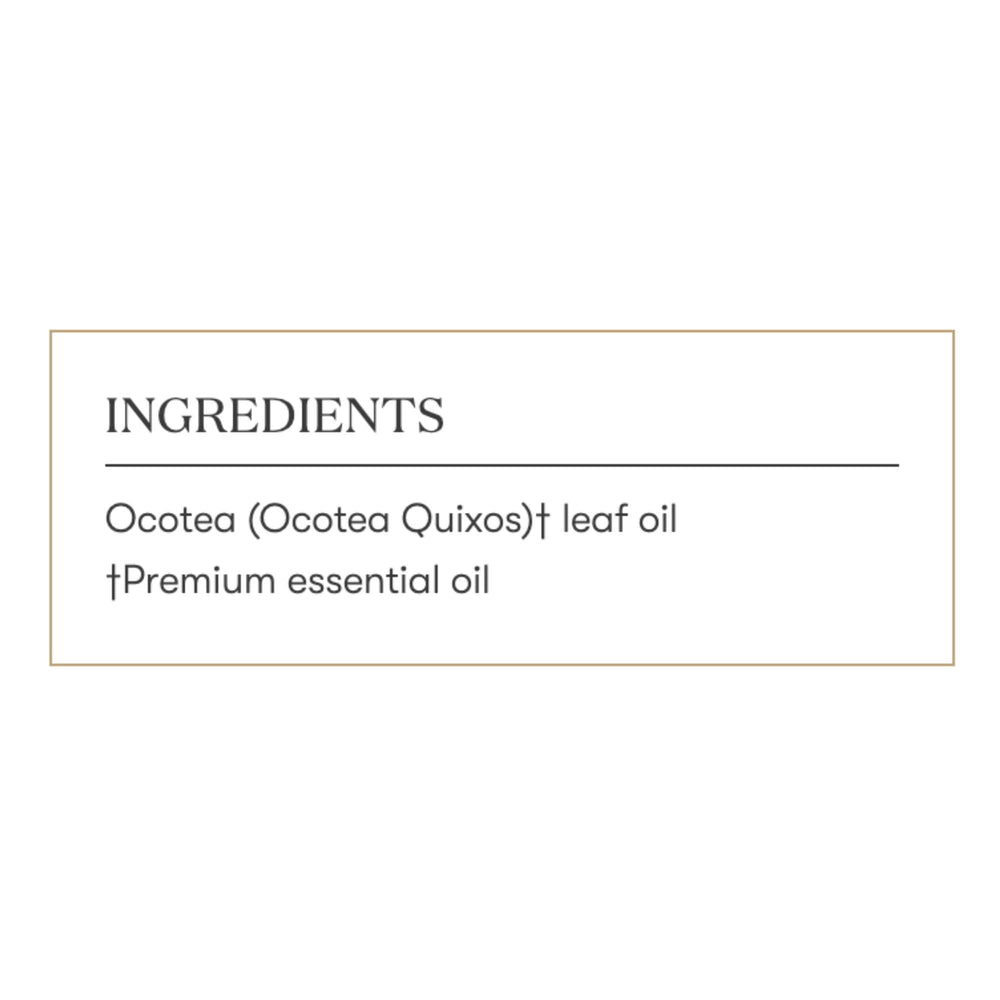Young Living Ocotea historic-use image reflects centuries of cultural appreciation.