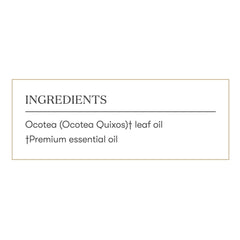 Young Living Ocotea historic-use image reflects centuries of cultural appreciation.