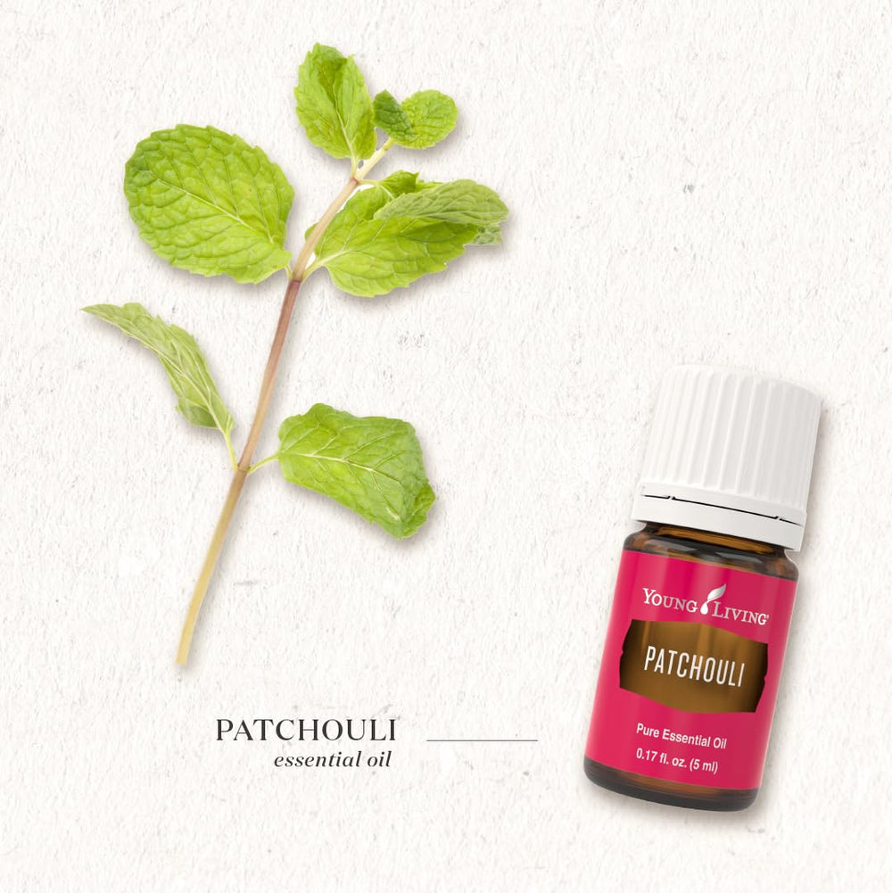 Aroma diffusion with Young Living Patchouli oil creates a peaceful atmosphere.
