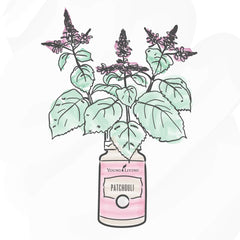 Patchouli oil from Young Living used in skin-care application with dilution guidance.