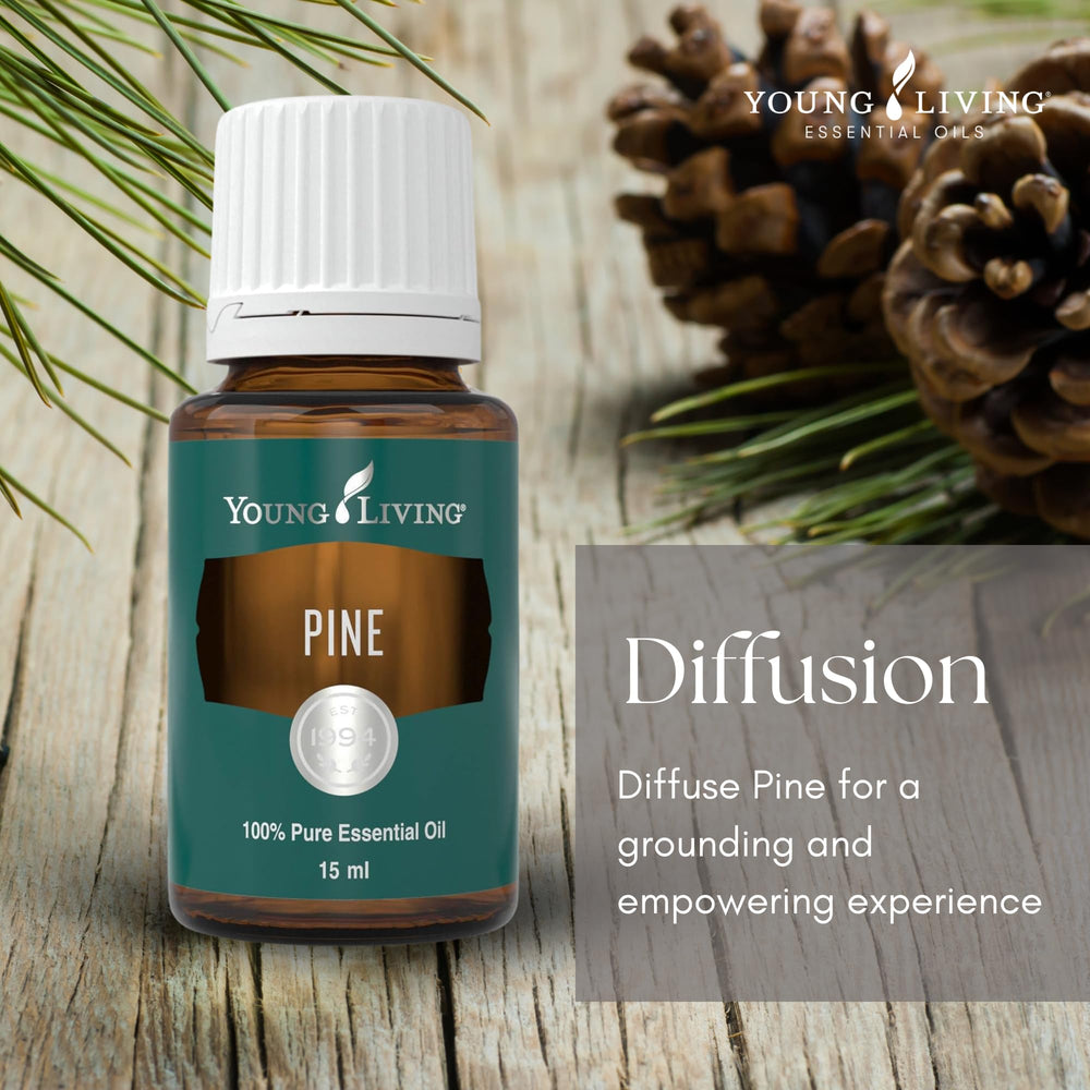 Young Living Pine oil diffuser image showing natural scent ideal for meditation and calm.