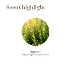 Indoor air ambience with Rosemary Oil offering a woodsy, uplifting scent.
