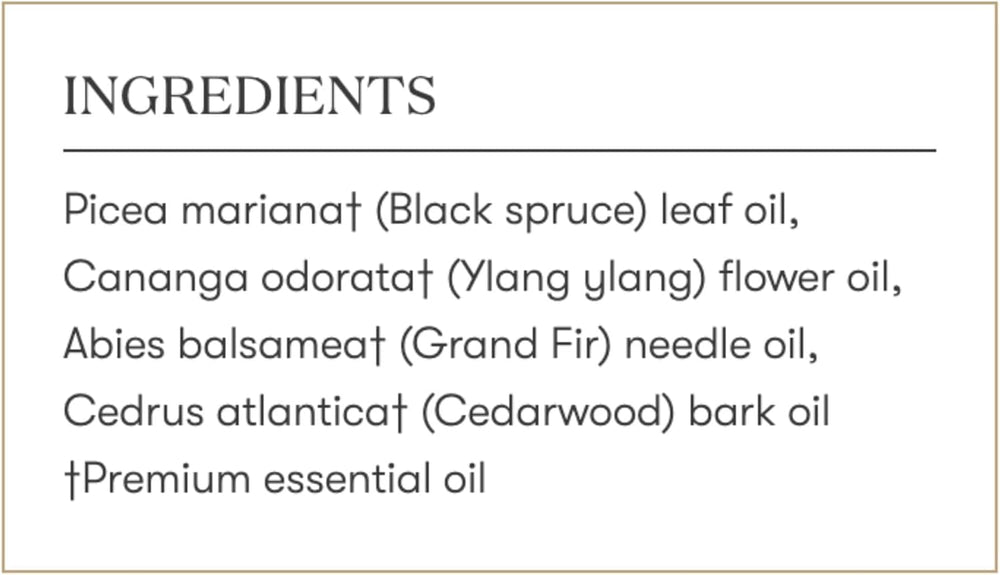 Young Living Sacred Mountain earthy-tones image conveys natural calm and nature-inspired scent.