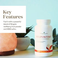 Young Living Sulfurzyme powder with scoop ready to blend into a drink for daily energy.