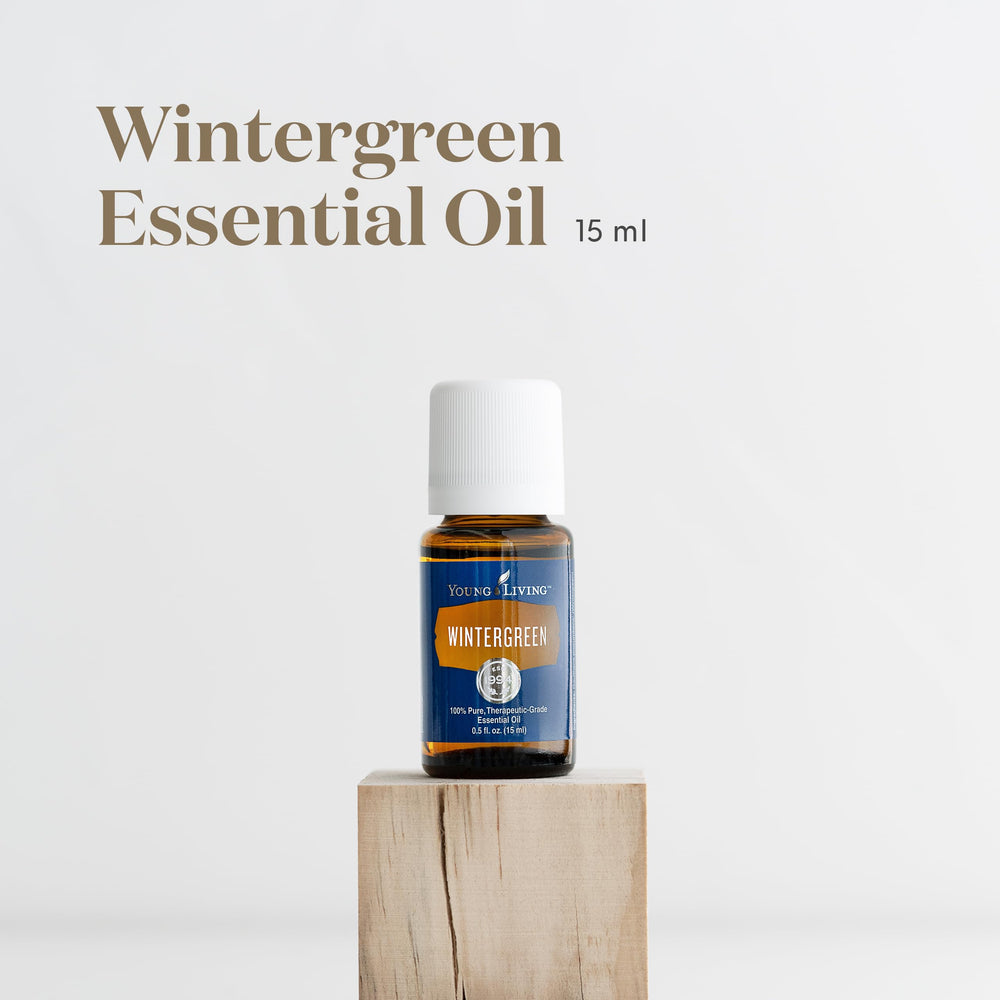 Young Living Wintergreen leaves closeup evokes natural serenity and refreshing sensory hints.