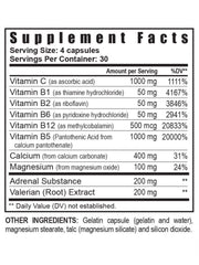 Youngevity Ultimate D-Stress brand logo signaling trusted wellness quality