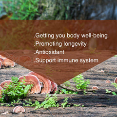 Yuanziyuanfang Red Reishi Spore Powder added to smoothie for a nutrient boost.